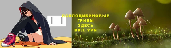 бошки Балахна