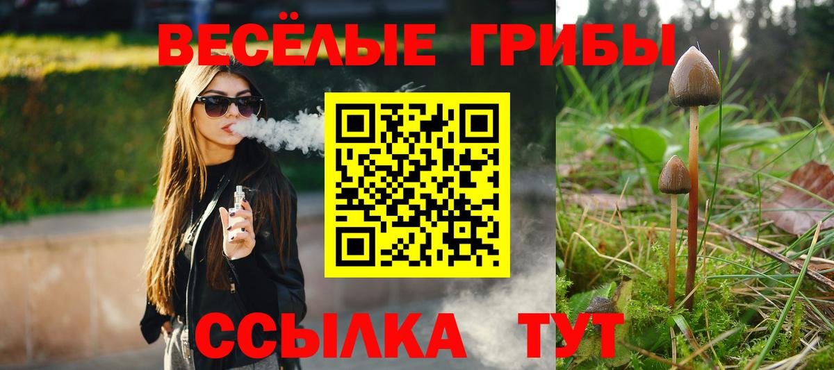 Псилоцибиновые грибы Cubensis  Псилоцибиновые грибы мухоморы  Сегежа  Вход с VPN 