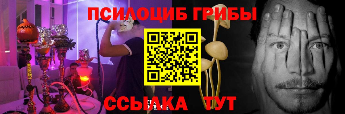 Псилоцибиновые грибы мицелий Сегежа