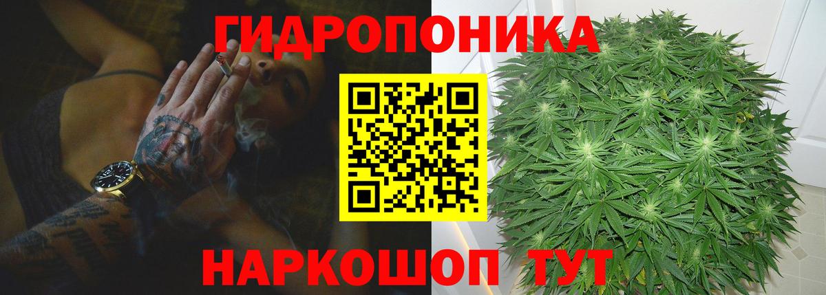 Конопля OG Kush  Вход с VPN  Сегежа  Канабис план 